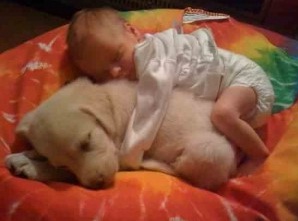 Puppy and baby
