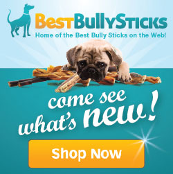 Best Bully Sticks